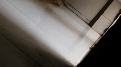 路边沟厕超近距离贴B拍水果店的美女店员