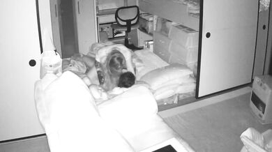 精挑细选补漏家庭摄像头破解入侵真实偸拍男女各种激烈性生活出租房情侣上演教科书式性爱 (24)